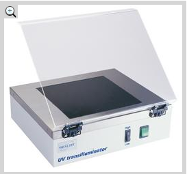 ����͸���_(t��i)