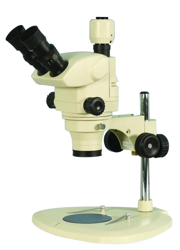 ��Ŀ���w�@΢�R|SX-5