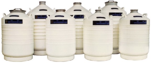 Һ�������������\(y��n)ݔ��II��