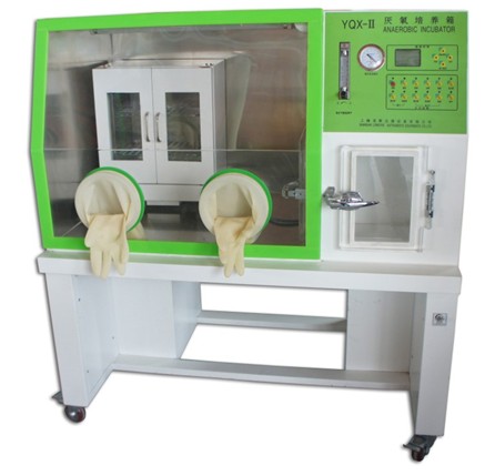 �������B(y��ng)��YQX-��