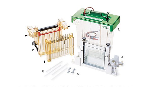 ����(l��)PROTEAN&reg; II xi 2-D�ܠ��z�Ӿ��