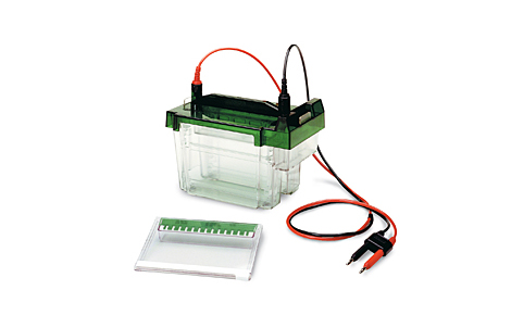 ����(l��)Criterion™�Ӿ��