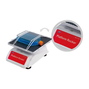 �[��С��NS-04��NS-05U